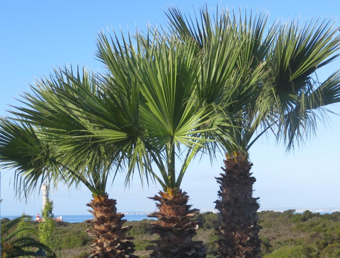 Three Palms Apartment Ferragudo  Bagian luar foto
